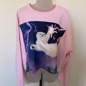 Taylor Swift Pink Crop Cat Sweatshirt sz XL